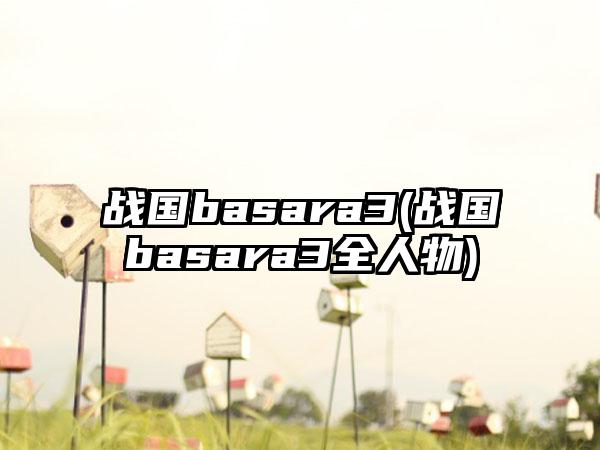 战国basara3(战国basara3全人物)