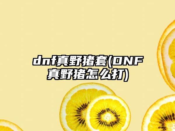dnf真野猪套(DNF真野猪怎么打)