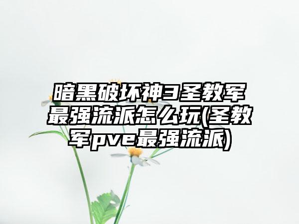 暗黑破坏神3圣教军最强流派怎么玩(圣教军pve最强流派)