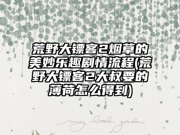 荒野大镖客2烟草的美妙乐趣剧情流程(荒野大镖客2大叔要的薄荷怎么得到)