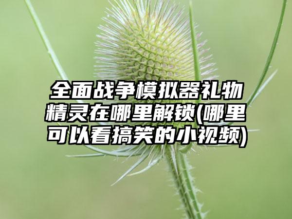 全面战争模拟器礼物精灵在哪里解锁(哪里可以看搞笑的小视频)