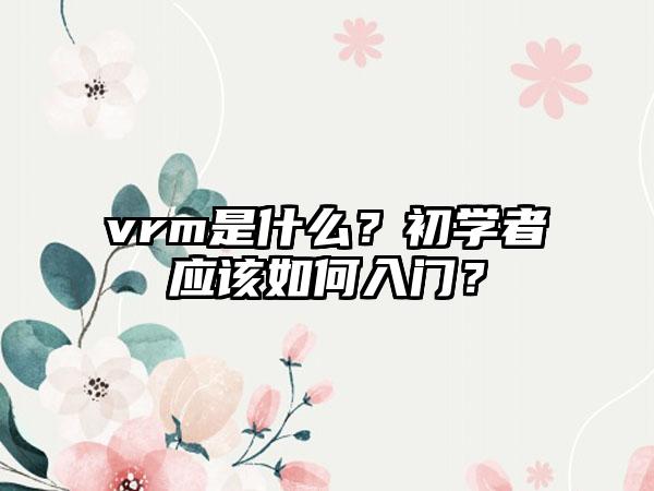 vrm是什么？初学者应该如何入门？