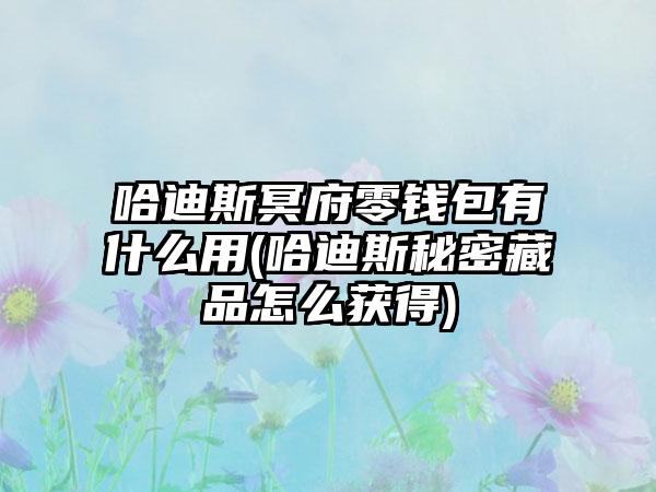 哈迪斯冥府零钱包有什么用(哈迪斯秘密藏品怎么获得)