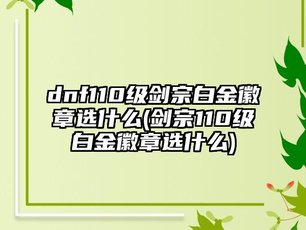 dnf110级剑宗白金徽章选什么(剑宗110级白金徽章选什么)