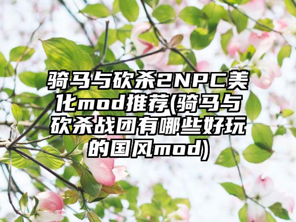 骑马与砍杀2NPC美化mod推荐(骑马与砍杀战团有哪些好玩的国风mod)