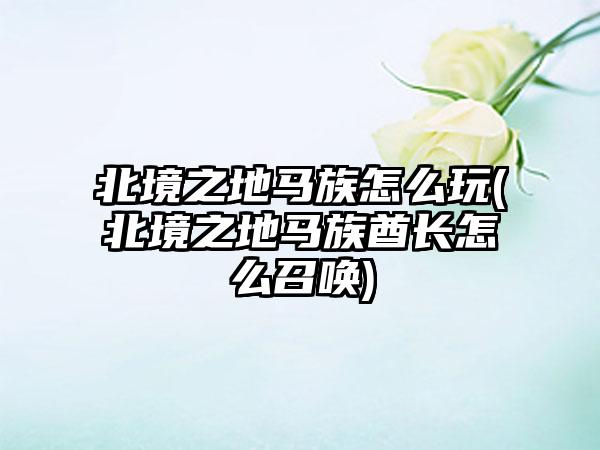 北境之地马族怎么玩(北境之地马族酋长怎么召唤)