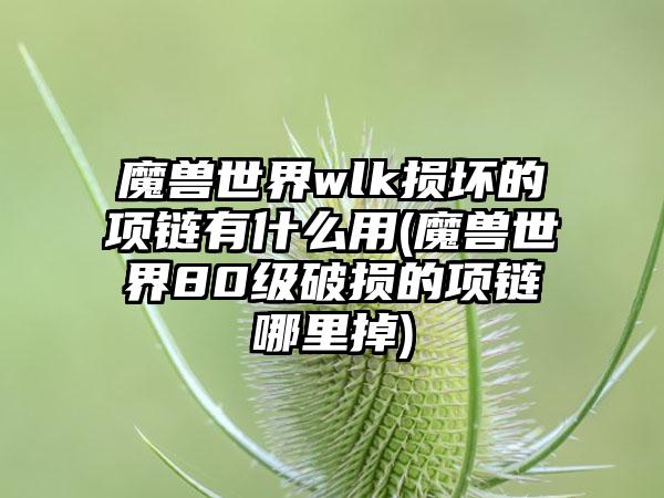 魔兽世界wlk损坏的项链有什么用(魔兽世界80级破损的项链哪里掉)