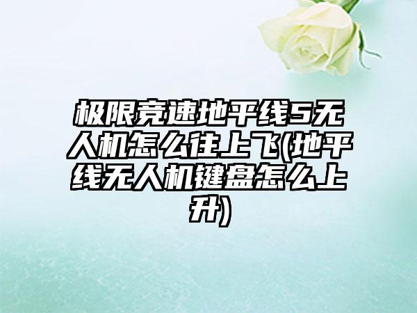 极限竞速地平线5无人机怎么往上飞(地平线无人机键盘怎么上升)