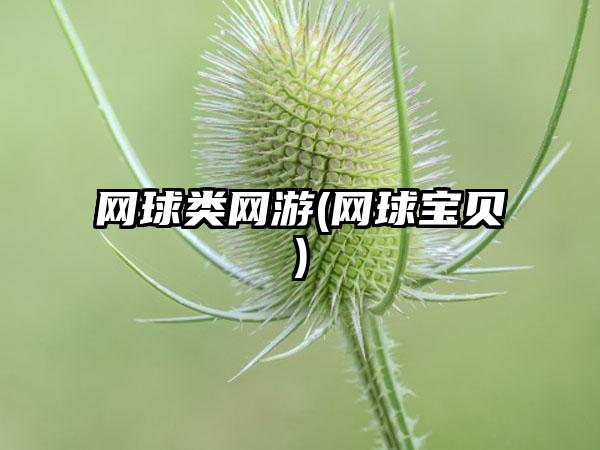 网球类网游(网球宝贝)