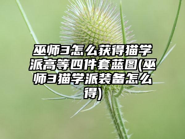 巫师3怎么获得猫学派高等四件套蓝图(巫师3猫学派装备怎么得)