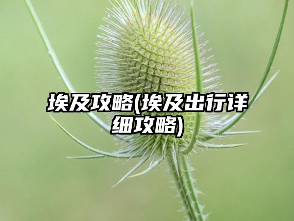 埃及攻略(埃及出行详细攻略)