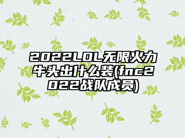 2022LOL无限火力牛头出什么装(fnc2022战队成员)