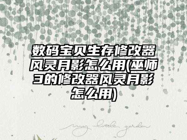 数码宝贝生存修改器风灵月影怎么用(巫师3的修改器风灵月影怎么用)