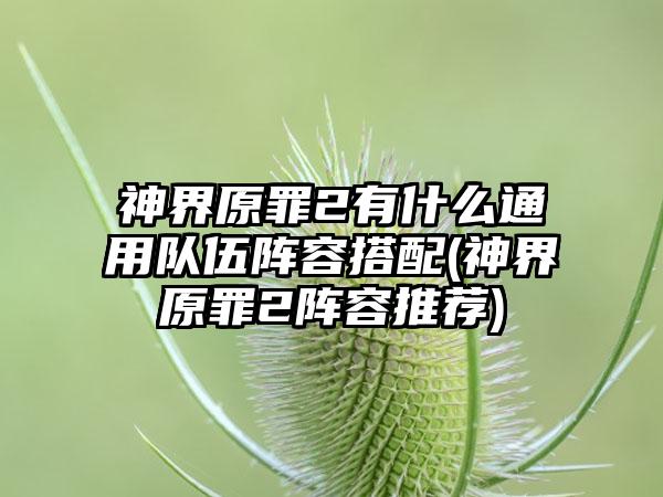 神界原罪2有什么通用队伍阵容搭配(神界原罪2阵容推荐)