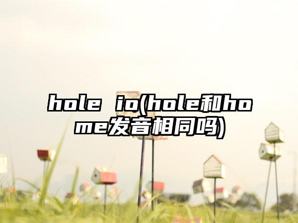 hole io(hole和home发音相同吗)