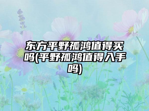 东方平野孤鸿值得买吗(平野孤鸿值得入手吗)
