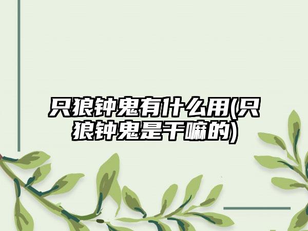 只狼钟鬼有什么用(只狼钟鬼是干嘛的)