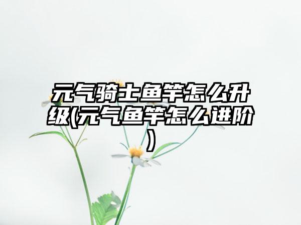 元气骑士鱼竿怎么升级(元气鱼竿怎么进阶)