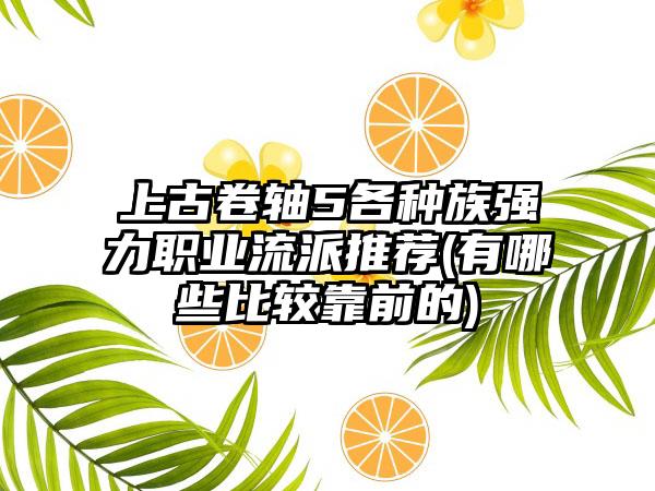 上古卷轴5各种族强力职业流派推荐(有哪些比较靠前的)