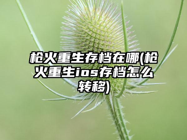 枪火重生存档在哪(枪火重生ios存档怎么转移)