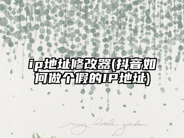 ip地址修改器(抖音如何做个假的IP地址)