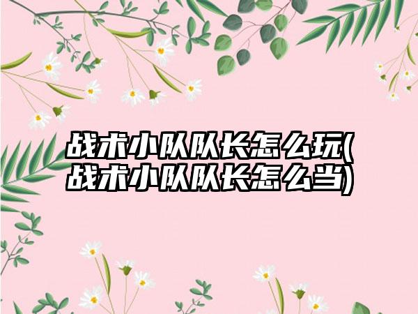 战术小队队长怎么玩(战术小队队长怎么当)