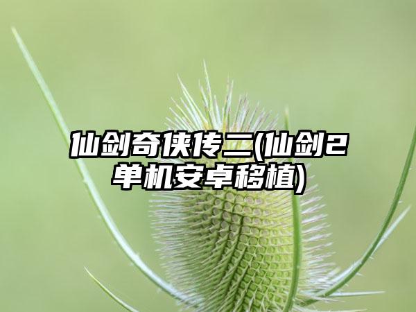 仙剑奇侠传二(仙剑2单机安卓移植)