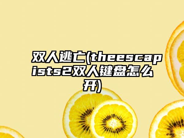 双人逃亡(theescapists2双人键盘怎么开)