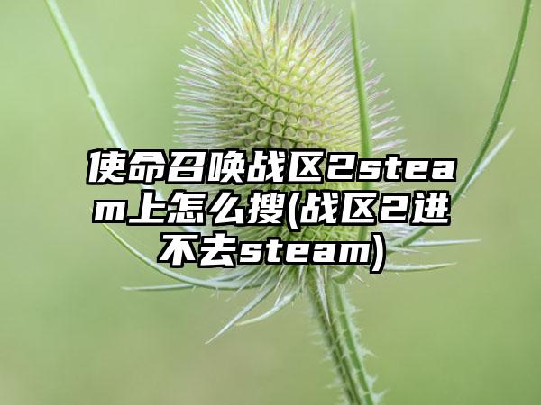 使命召唤战区2steam上怎么搜(战区2进不去steam)