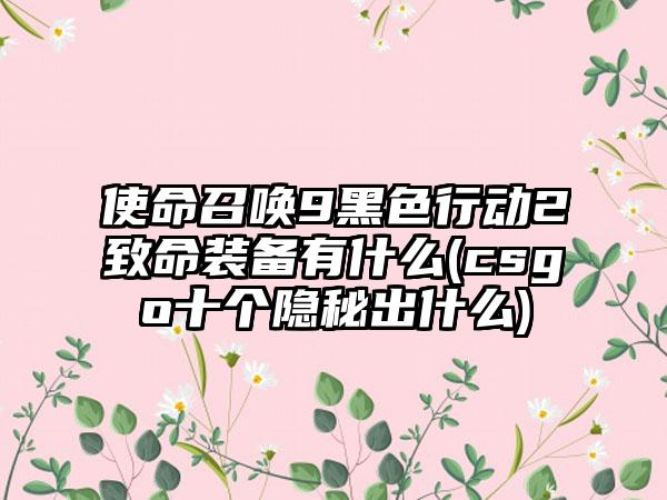 使命召唤9黑色行动2致命装备有什么(csgo十个隐秘出什么)