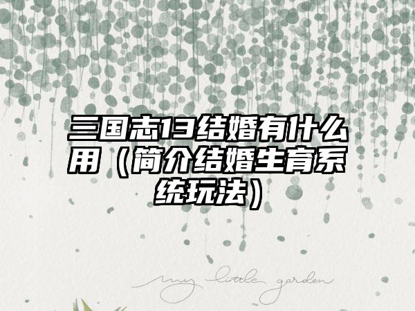 三国志13结婚有什么用（简介结婚生育系统玩法）