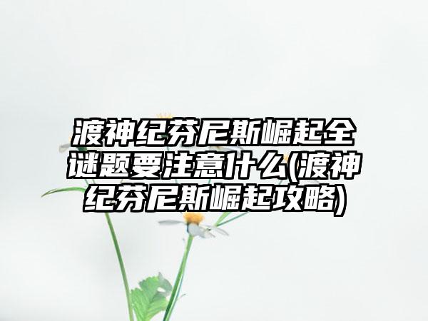 渡神纪芬尼斯崛起全谜题要注意什么(渡神纪芬尼斯崛起攻略)