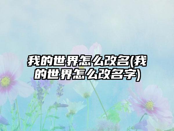 我的世界怎么改名(我的世界怎么改名字)