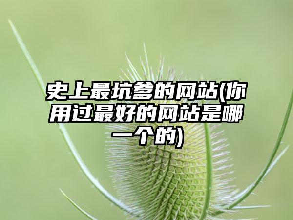 史上最坑爹的网站(你用过最好的网站是哪一个的)