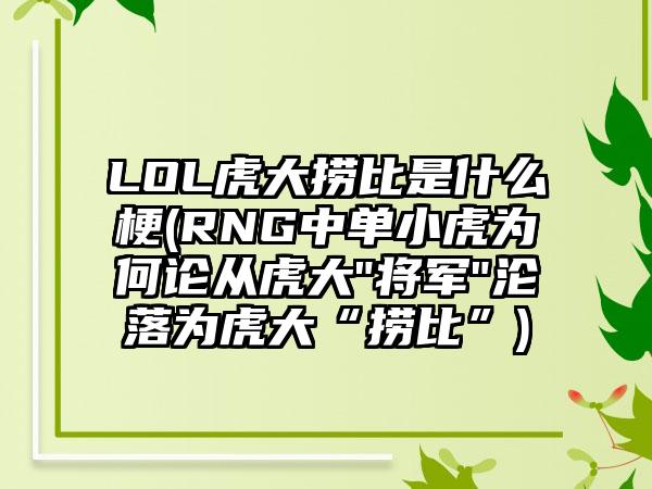 LOL虎大捞比是什么梗(RNG中单小虎为何论从虎大
