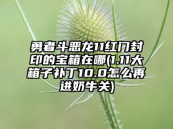 勇者斗恶龙11红门封印的宝箱在哪(1.11大箱子补丁10.0怎么再进奶牛关)