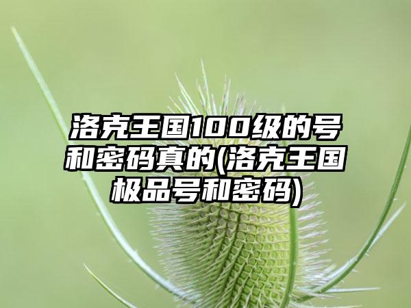 洛克王国100级的号和密码真的(洛克王国极品号和密码)