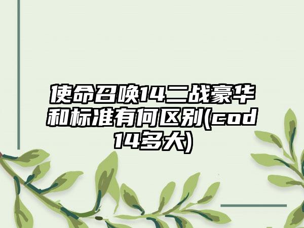使命召唤14二战豪华和标准有何区别(cod14多大)