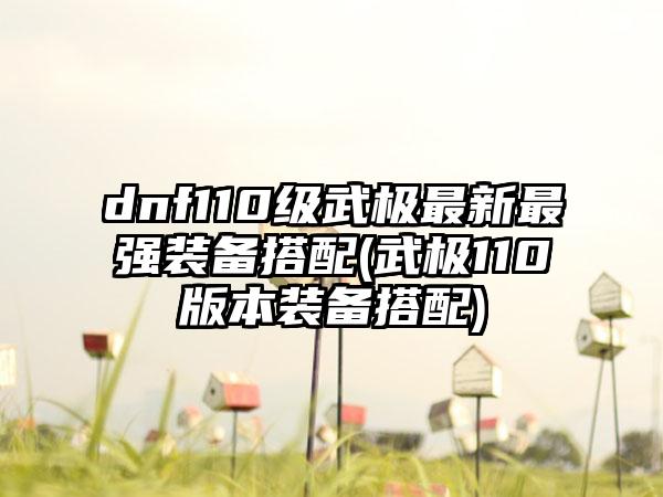 dnf110级武极最新最强装备搭配(武极110版本装备搭配)