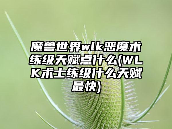 魔兽世界wlk恶魔术练级天赋点什么(WLK术士练级什么天赋最快)