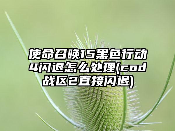 使命召唤15黑色行动4闪退怎么处理(cod战区2直接闪退)