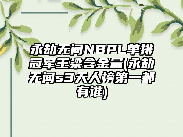 永劫无间NBPL单排冠军王梁含金量(永劫无间s3天人榜第一都有谁)