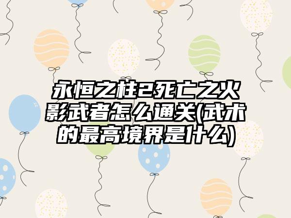 永恒之柱2死亡之火影武者怎么通关(武术的最高境界是什么)