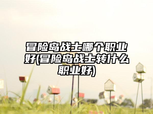 冒险岛战士哪个职业好(冒险岛战士转什么职业好)