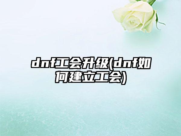 dnf工会升级(dnf如何建立工会)