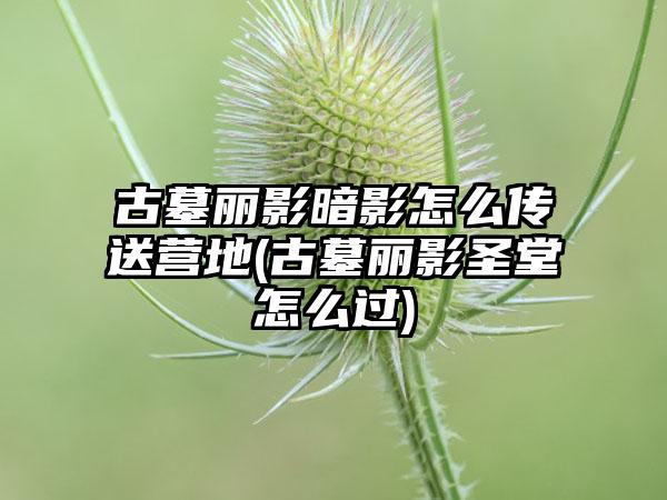 古墓丽影暗影怎么传送营地(古墓丽影圣堂怎么过)