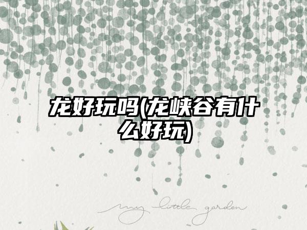 龙好玩吗(龙峡谷有什么好玩)