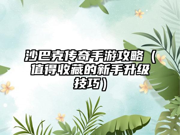 沙巴克传奇手游攻略（值得收藏的新手升级技巧）
