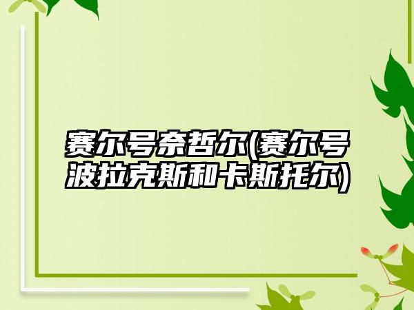 赛尔号奈哲尔(赛尔号波拉克斯和卡斯托尔)