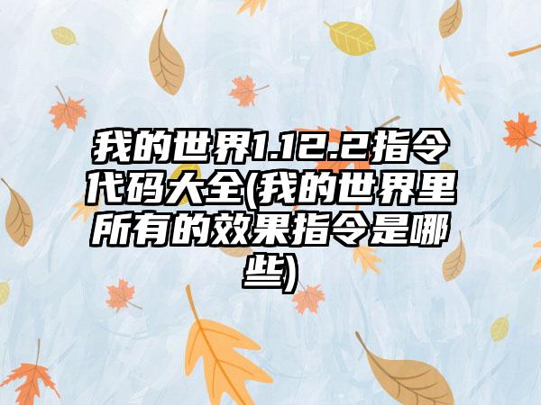 我的世界1.12.2指令代码大全(我的世界里所有的效果指令是哪些)